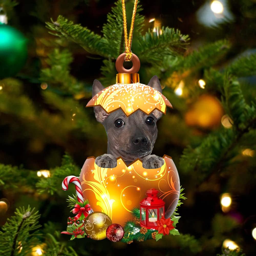 2D American Hairless Terrier Dog Plastic Ornaments, Christmas Decorations with Dog in Golden Egg Printed On Flat Acrylic Ornaments, Dog Christmas Ornaments Gift for Dog Lover