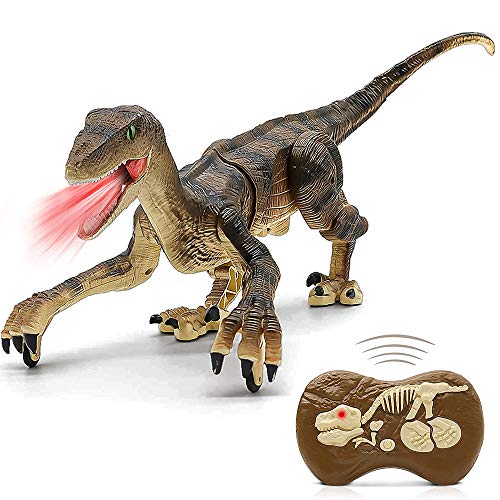 ZM21001 Remote Control Dinosaur Toys - (Rechargeable) 2.4Ghz RC Walking Robot Velociraptor with LED Eye, Roaring Sound, Shaking Head & Tail, Jurassic Dino Electronic Toys Gifts for Boys & Girls 5-9 Years Old