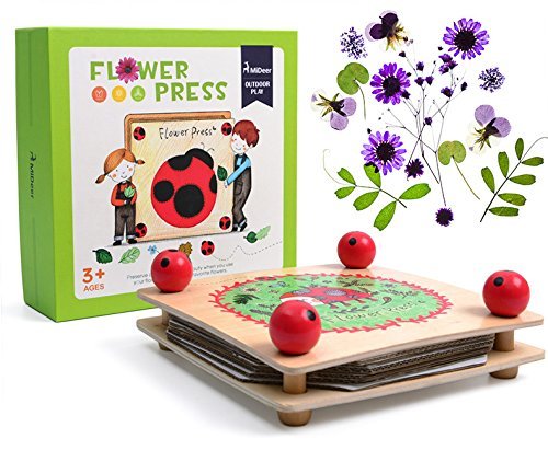 MD0071 Flower Leaf Press Craft Kits - WISHTIME Wooden Art Kit Outdoor Play Learning Toy Christmas Gift for Children