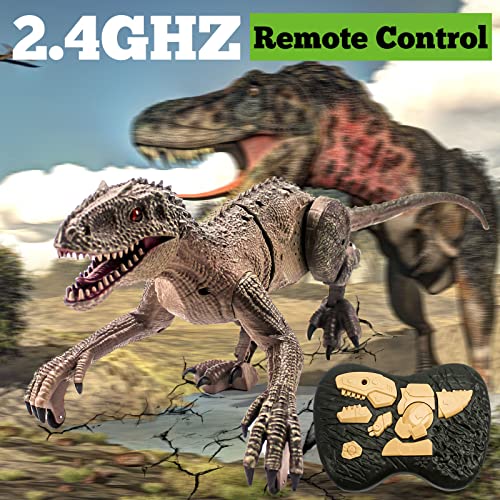 Remote Control Dinosaur Toys for Boys, Electric 2.4 Ghz RC Walking Robot Velociraptor with LED Eye, Roaring Sound, Dinosaur Gifts for Kids, Best Choice For Dinosaur Lovers